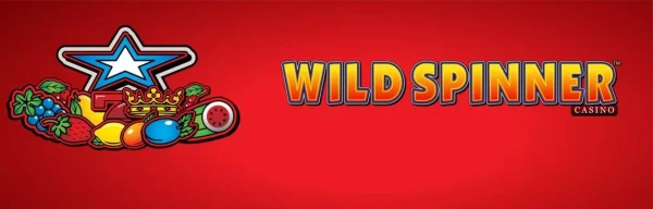 Gameplay Mechanics and Strategies Wild Spinner Slots
